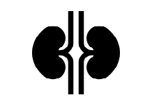 Nephrology billing
