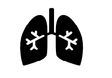 Pulmonology billing