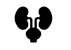 Urology billing